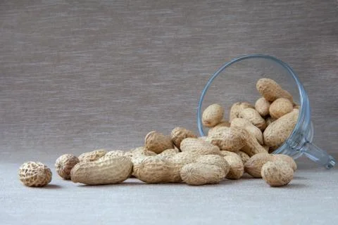 Peanuts in the shell poured out of a cup Stock Photos