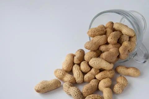 Peanuts in the shell poured out of a cup Stock Photos