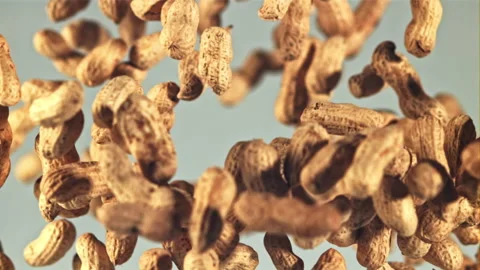 Peanuts in the shell rise up and fall down. Filmed on a high-speed camera at Video stock 198229045
