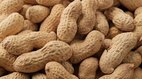 Peanuts in shell rotating. Pile of peanuts in shell roasted. Healthy nutrition Video stock 223495830