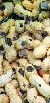 Peanuts in shell showing various textures and patterns Stock Photos