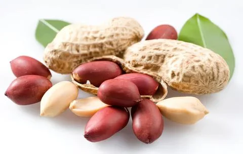 Peanuts in shell with some peanuts outside and green leaves Stock-Fotos