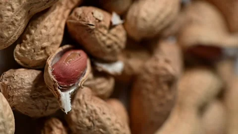 Peanuts in Shell Spinning in Slow Motion Water Splash Video stock 328281572