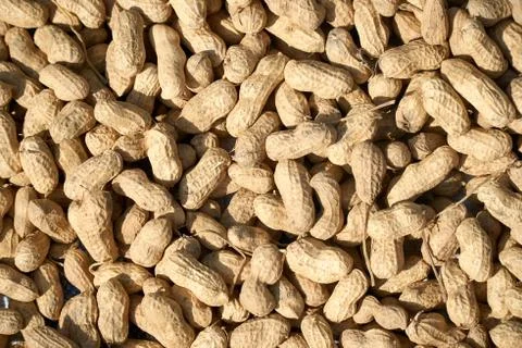Peanuts in shell texture background. Raw peanuts top view at a farmer's market. Foto stock