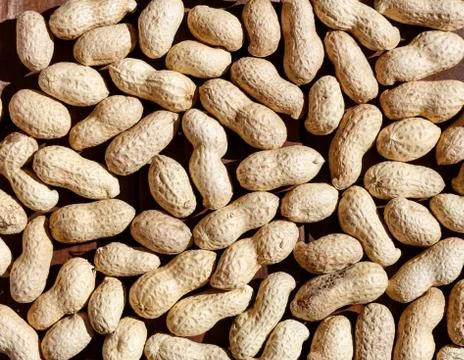 Peanuts in shell texture food background top view. Stock Photos