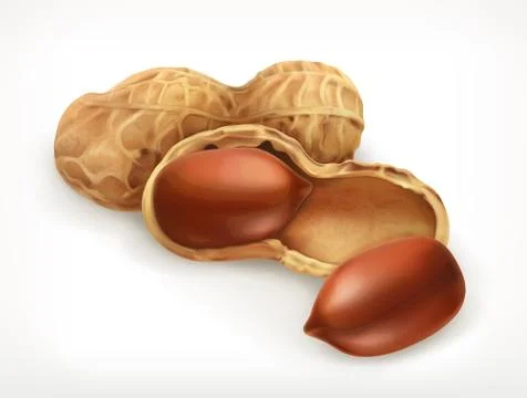 Peanuts in shell, vector icon Stock Illustration