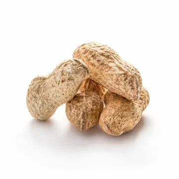 Peanuts in shell on white Stock Photos
