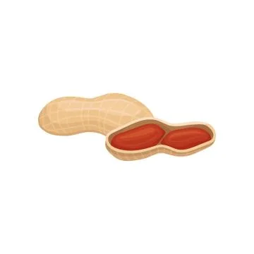 Peanuts in shell, whole ripe brown peanut vector Illustration on a white Illustrazione stock