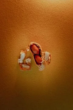 Peanuts in shell on a yellow background macro Stock Photos