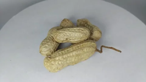 Peanuts in shell18 Stock Footage 329741461