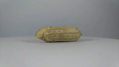 Peanuts in shell2 Stock Footage 329741382