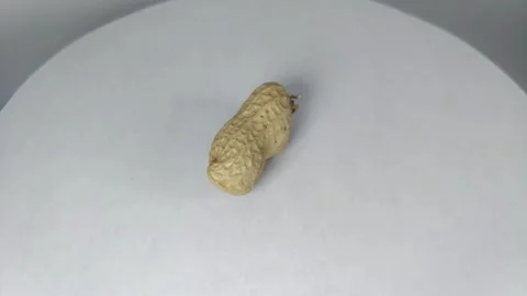 Peanuts in shell9 Stock Footage 329741372