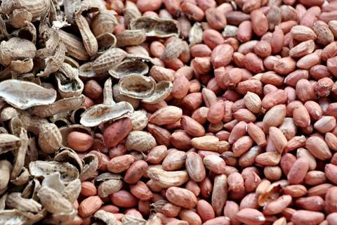 Peanuts shelled out. Stock Photos
