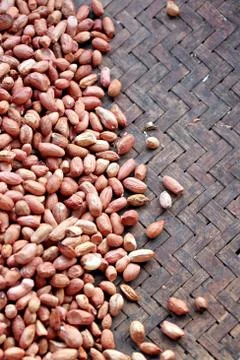 Peanuts shelled out. Stock Photos