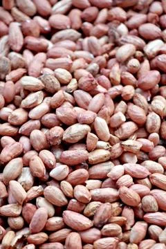 Peanuts shelled out. Stock Photos