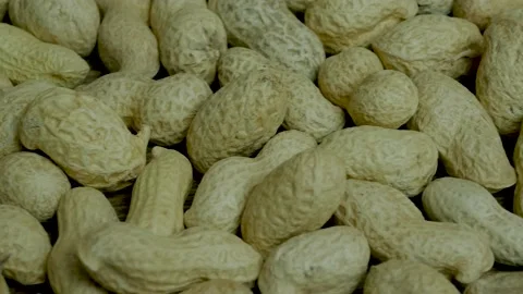 Peanuts in shells close-up.Bean nuts. Stock Footage 141324887