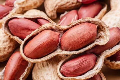 Peanuts in shells close-up with brown shells and pinkish nuts Stock Photos
