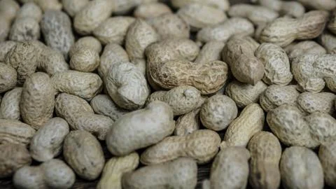 Peanuts in shells close-up Stock Photos
