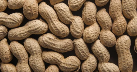 Peanuts with shells close up studio shot over rotating Video stock 334256963