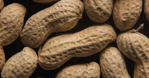 Peanuts with shells close up studio shot over rotating Video stock 334257220