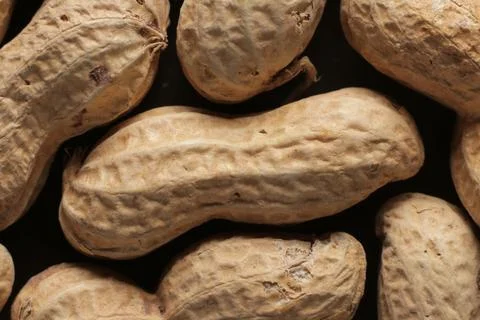 Peanuts with shells close up studio shot over Stock Photos