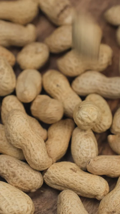Peanuts in shells falling down in wooden bowl Stock Footage 305023269