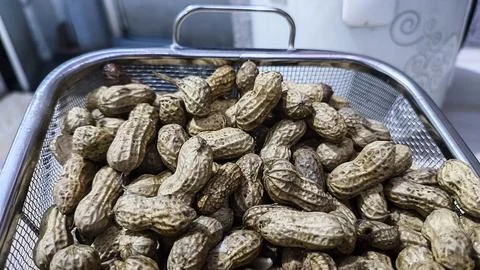 Peanuts in shells fill a metal mesh basket Stock Photos