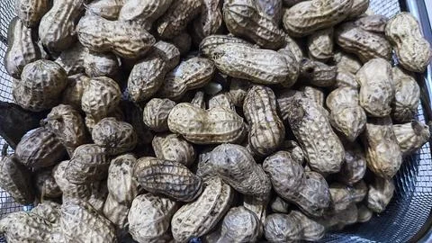 Peanuts in shells fill a metal mesh basket Stock Photos