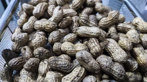 Peanuts in shells fill a metal mesh basket Stock Photos
