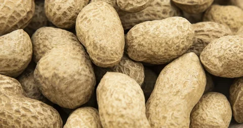 Peanuts in shells Stock Footage 110823459