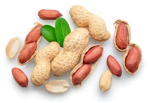 Peanuts in shells with green leaves on white background Stock Photos