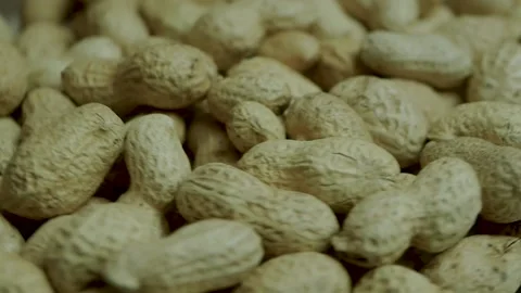 Peanuts in shells, peanut beans. Stock Footage 141324896