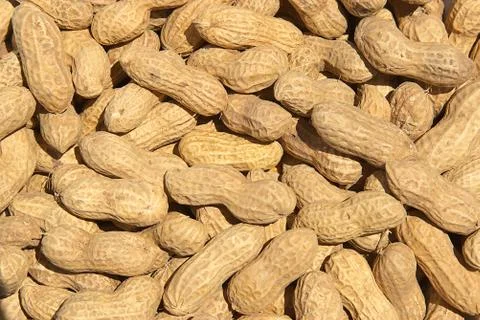 Peanuts in shells Stock Photos
