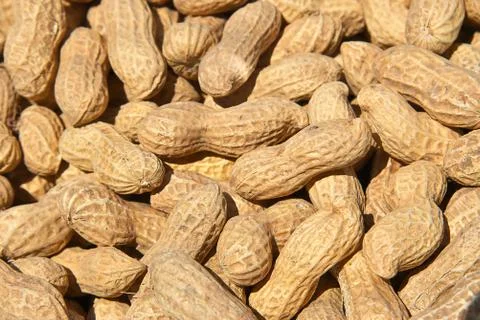 Peanuts in shells Stock Photos