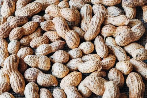 Peanuts in shells. 스톡 사진