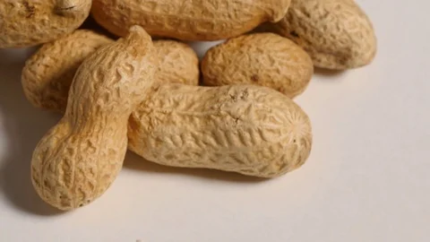 Peanuts in shells rotating on white background Stock Footage 76563132