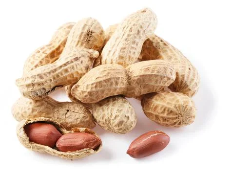 Peanuts in shells with some peanuts outside in a white background Stock Photos