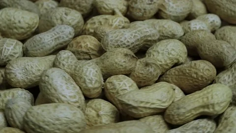 Peanuts in shells,peanut beans. Stock Footage 141324899