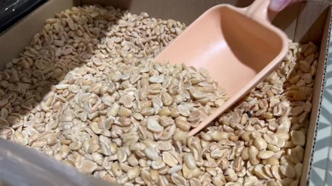Peanuts spill out of the scoop into the box. Video stock 197084985