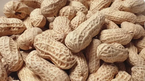 Peanuts spinning inside a white ceramic bowl. Stock Footage 160929556