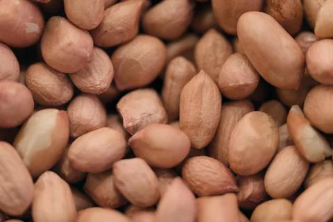 Peanuts still in their natural shells are beautifully piled together for di.. Stock Photos