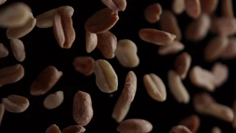 Peanuts in super slow motion on a black background Stock Footage 163151566