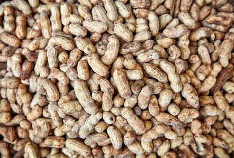 Peanuts. texture background. Raw peanuts in market Stock Photos