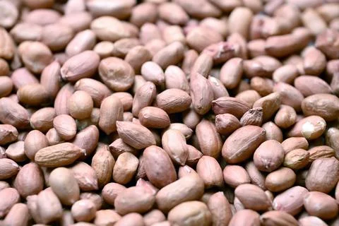 Peanuts Texture with Defocus Background Macro Photography Stock-Fotos
