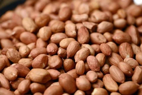 Peanuts Texture with Defocus Background Macro Photography Stock Photos