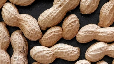 Peanuts texture in the kitchen Stock Footage 96311258