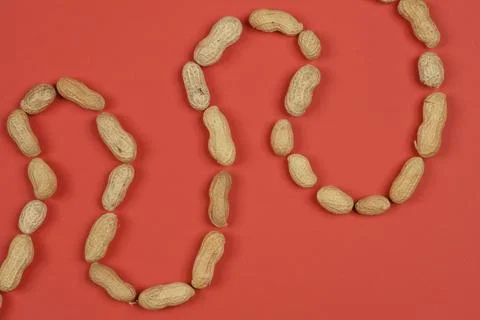 Peanuts in their shells Stock Photos