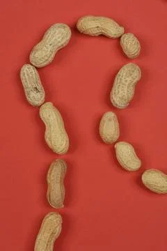 Peanuts in their shells Stock Photos