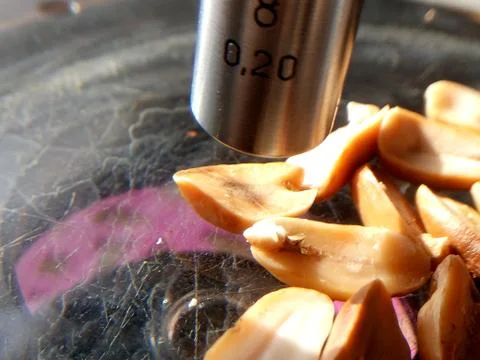 Peanuts under the microscope under the increase of spoiled mycotoxins fungi mold Stock Photos