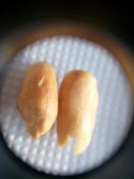 Peanuts under the microscope under the increase of spoiled mycotoxins fungi mold Stock Photos